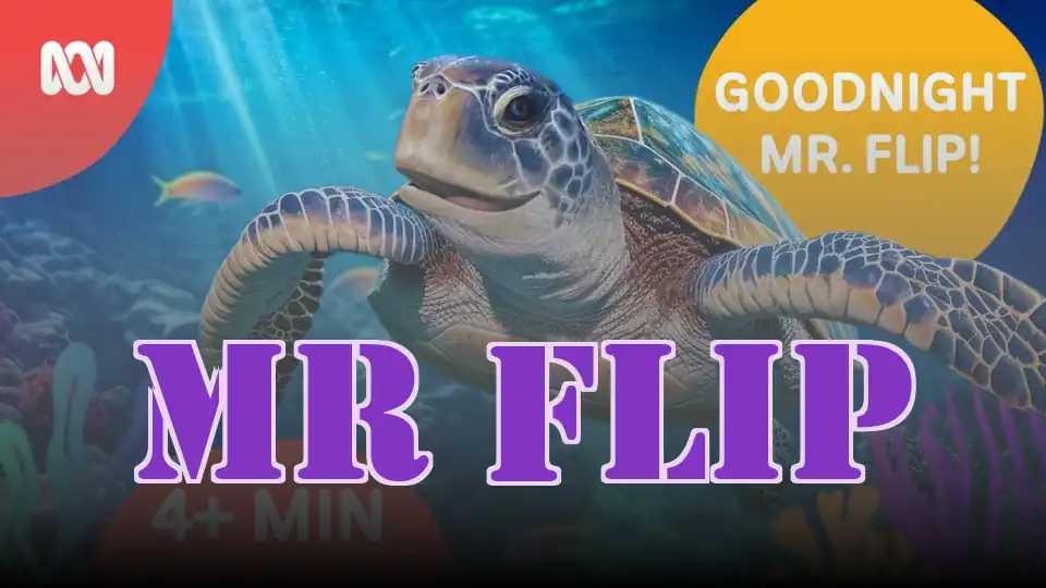 Mr Flip