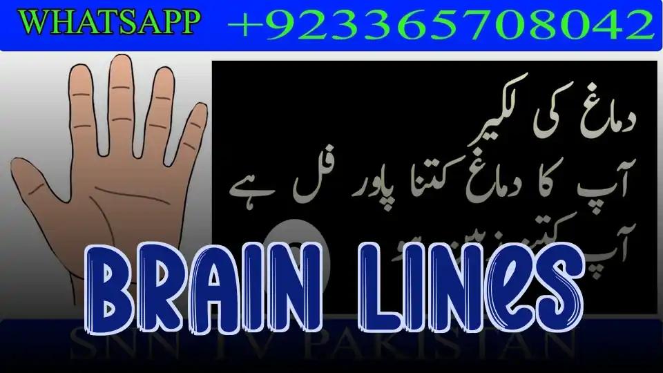 Brain Lines