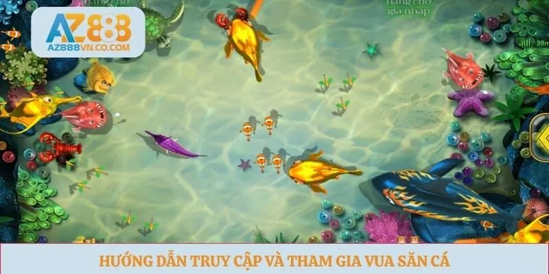 Hướng dẫn truy cập và tham gia vua săn cá